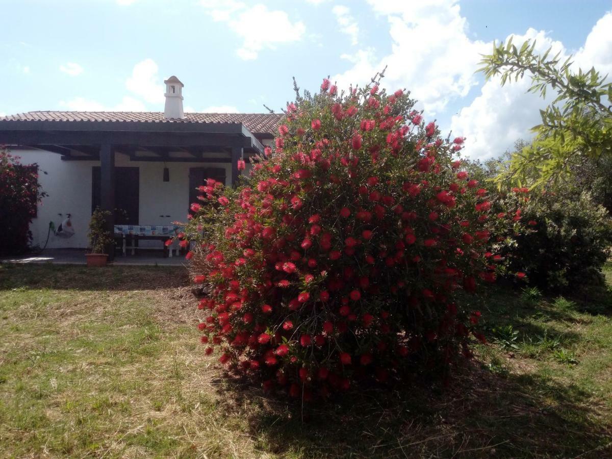Casa Nerelie'S Guest House โอโรเซย ภายนอก รูปภาพ